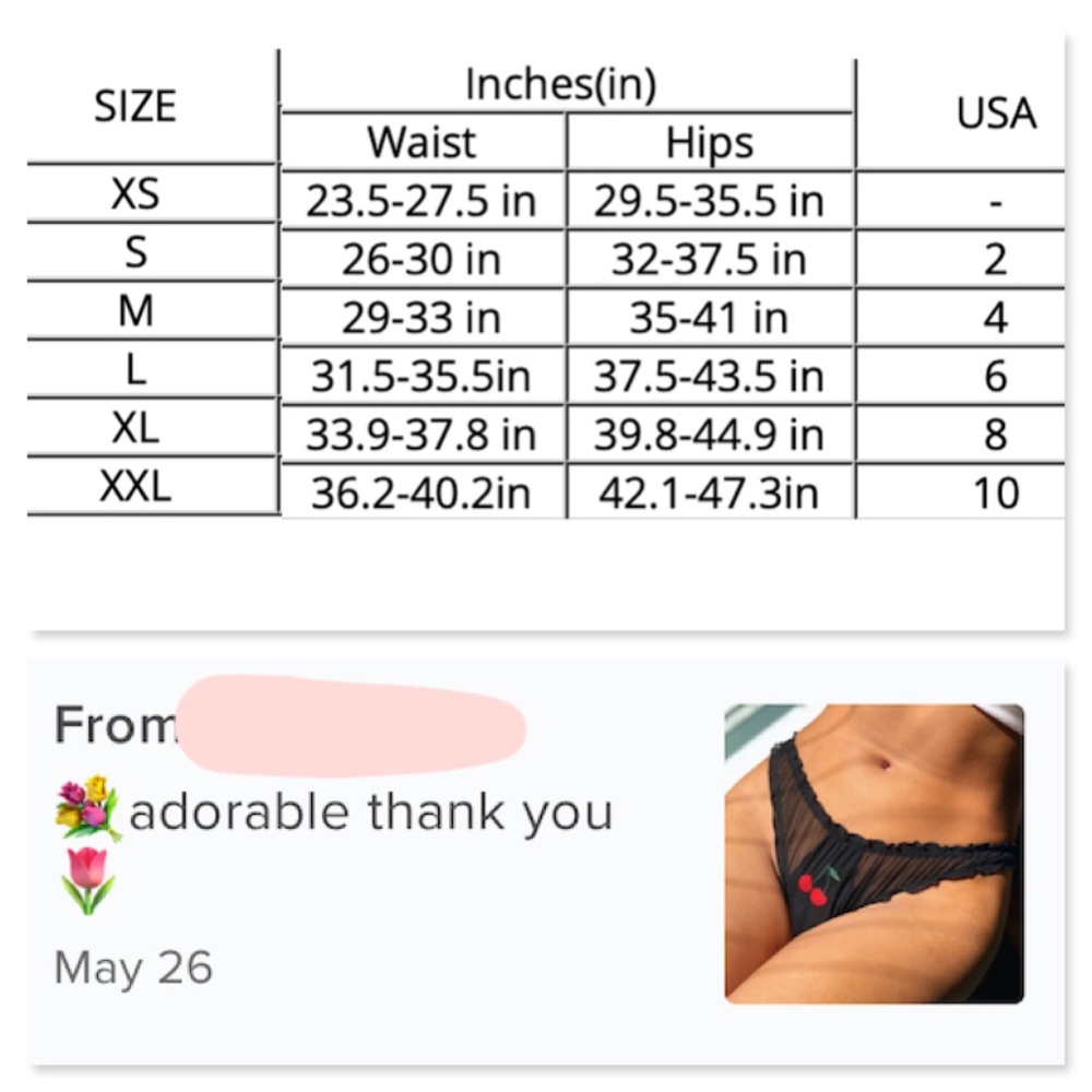 Black Ruched Fruit Applique Mesh Sheer Panties - Picture 16 of 16